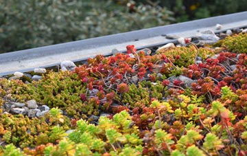the cost of Wester Kershope green roof installation