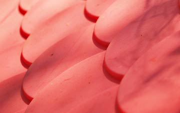 Wester Kershope plastic roof costs